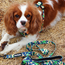 Load image into Gallery viewer, Leash - Bogota