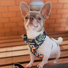 Load image into Gallery viewer, Harness - Bogota