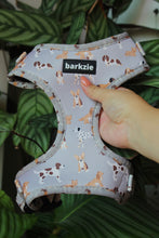 Load image into Gallery viewer, Harness - Toronto