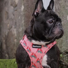 Load image into Gallery viewer, Harness - Santa Fe