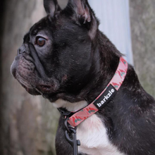 Load image into Gallery viewer, Collar - Santa Fe