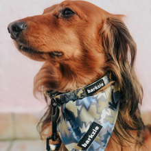 Load image into Gallery viewer, Collar - Bangkok