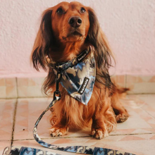 Load image into Gallery viewer, Leash - Bangkok