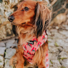 Load image into Gallery viewer, Harness - Santa Fe