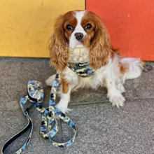 Load image into Gallery viewer, Leash - Bangkok