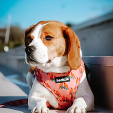 Load image into Gallery viewer, Harness - Santa Fe