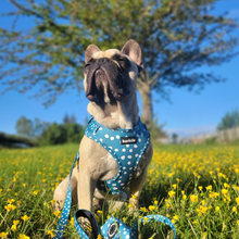 Load image into Gallery viewer, Harness - Nice