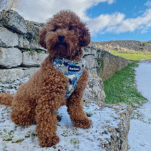 Load image into Gallery viewer, Harness - Bangkok