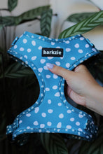 Load image into Gallery viewer, Harness - Nice