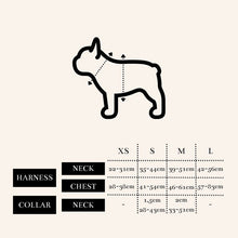 Load image into Gallery viewer, Harness - Toronto